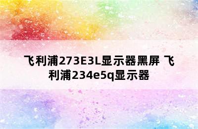 飞利浦273E3L显示器黑屏 飞利浦234e5q显示器